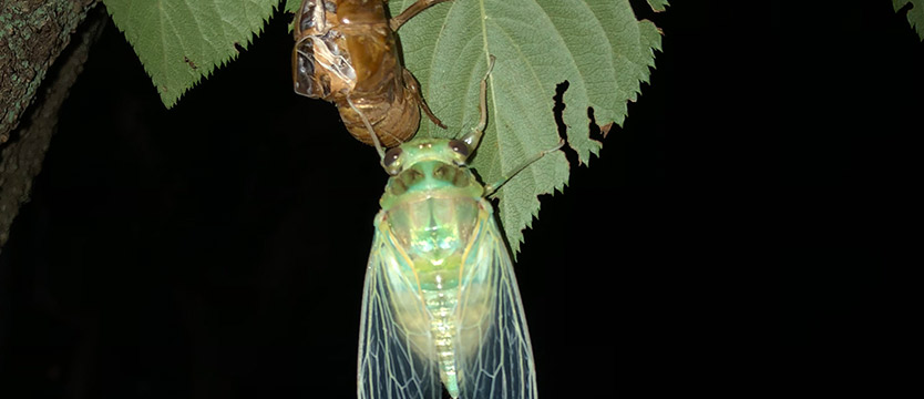 年中総合クラス